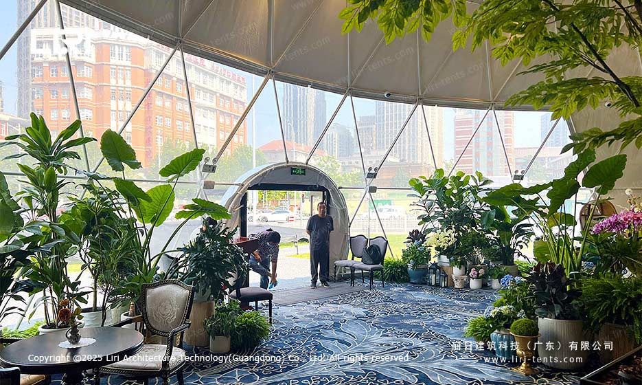 球形篷房室内绿植休闲布置